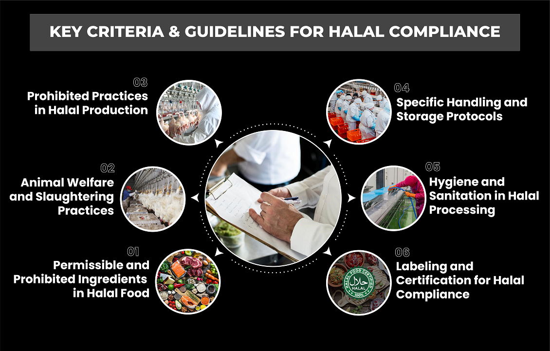 1775527125172212.png 4.png